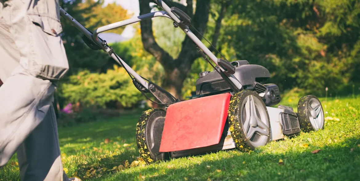The common lawn-care mistake you’re probably making every week The common lawn-care mistake you’re probably making every week