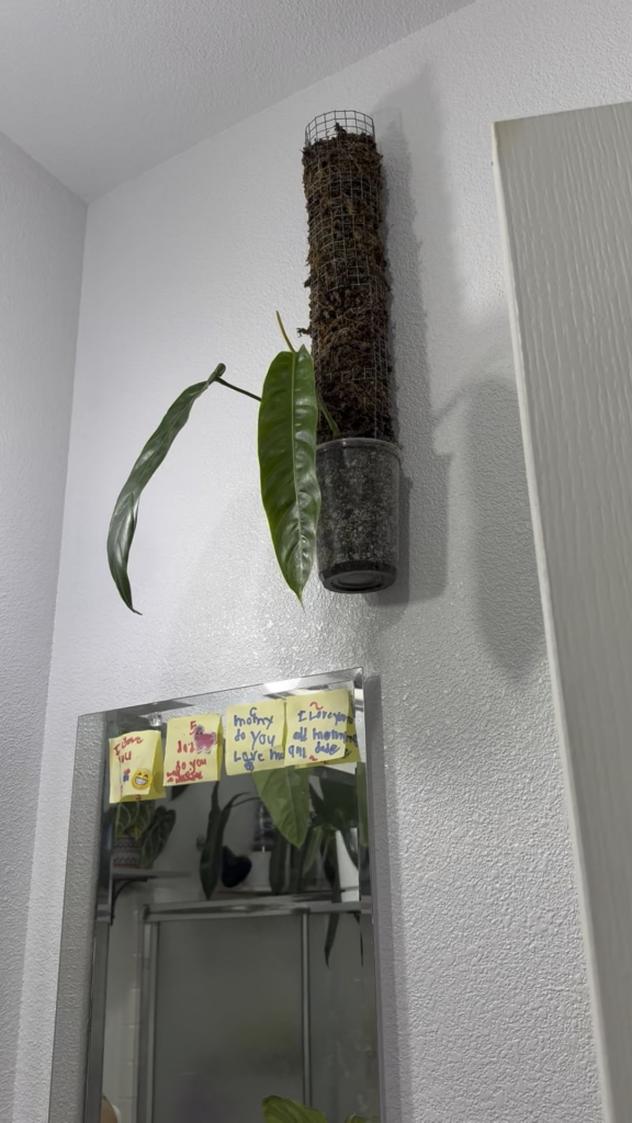 The bathroom is growing in nicely 🥰😍🥰😍