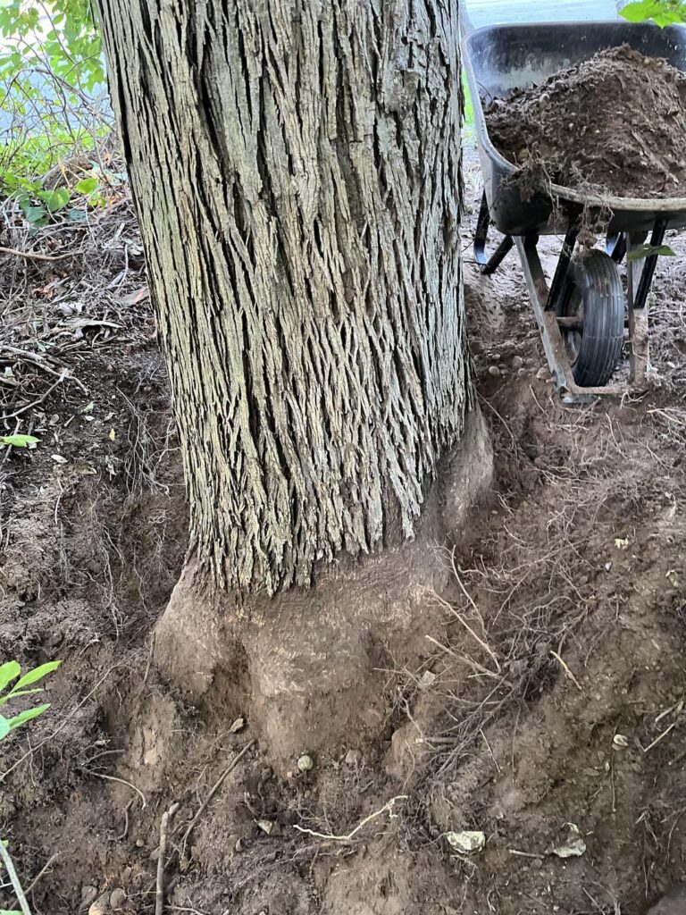 Still Digging