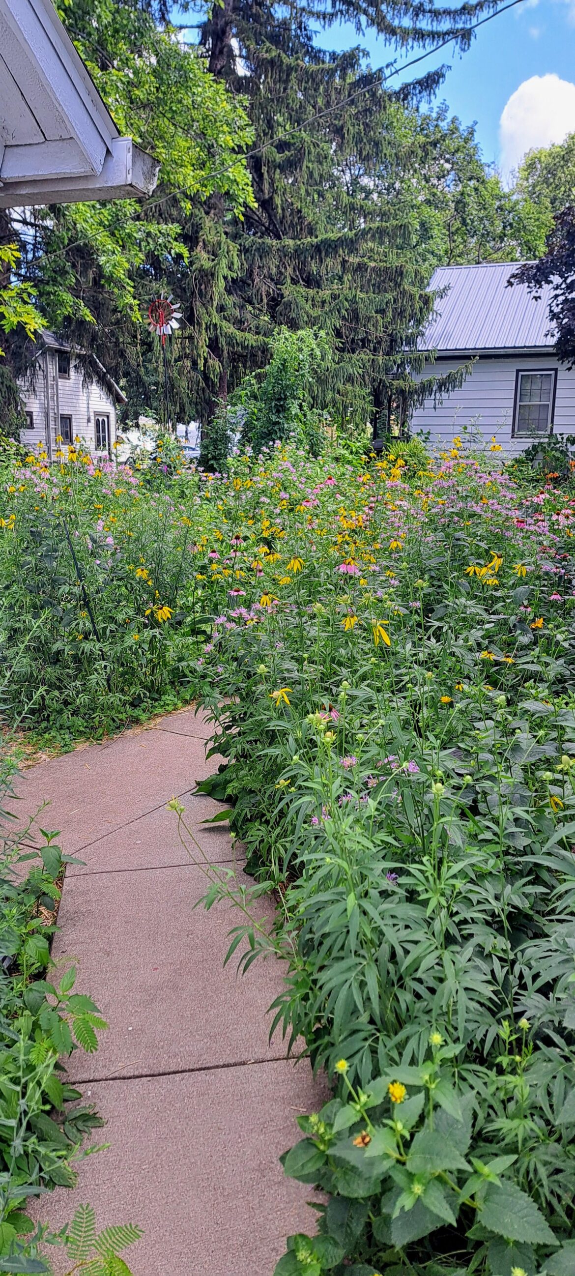 I don't mow. The bees don't like it. #FuckLawns