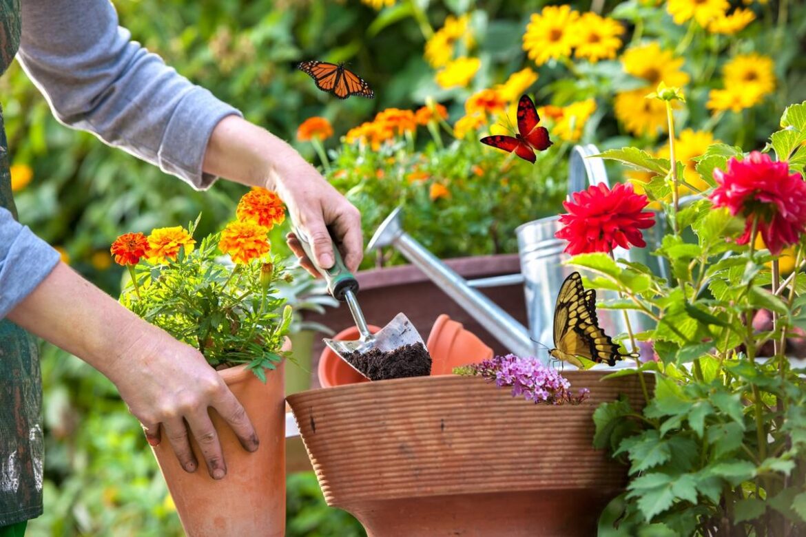 Join The Free 'Gardening For Wildlife' Class At A&M-Texarkana