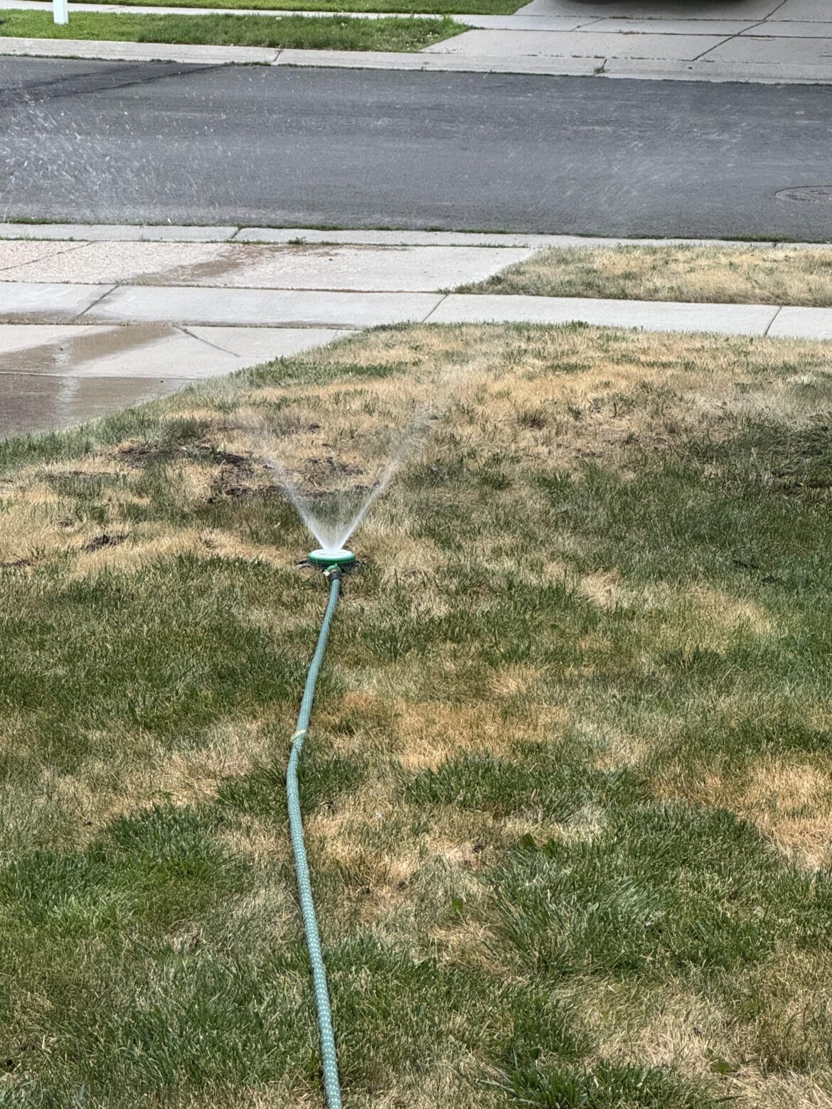 Lawn is staying brown no matter what