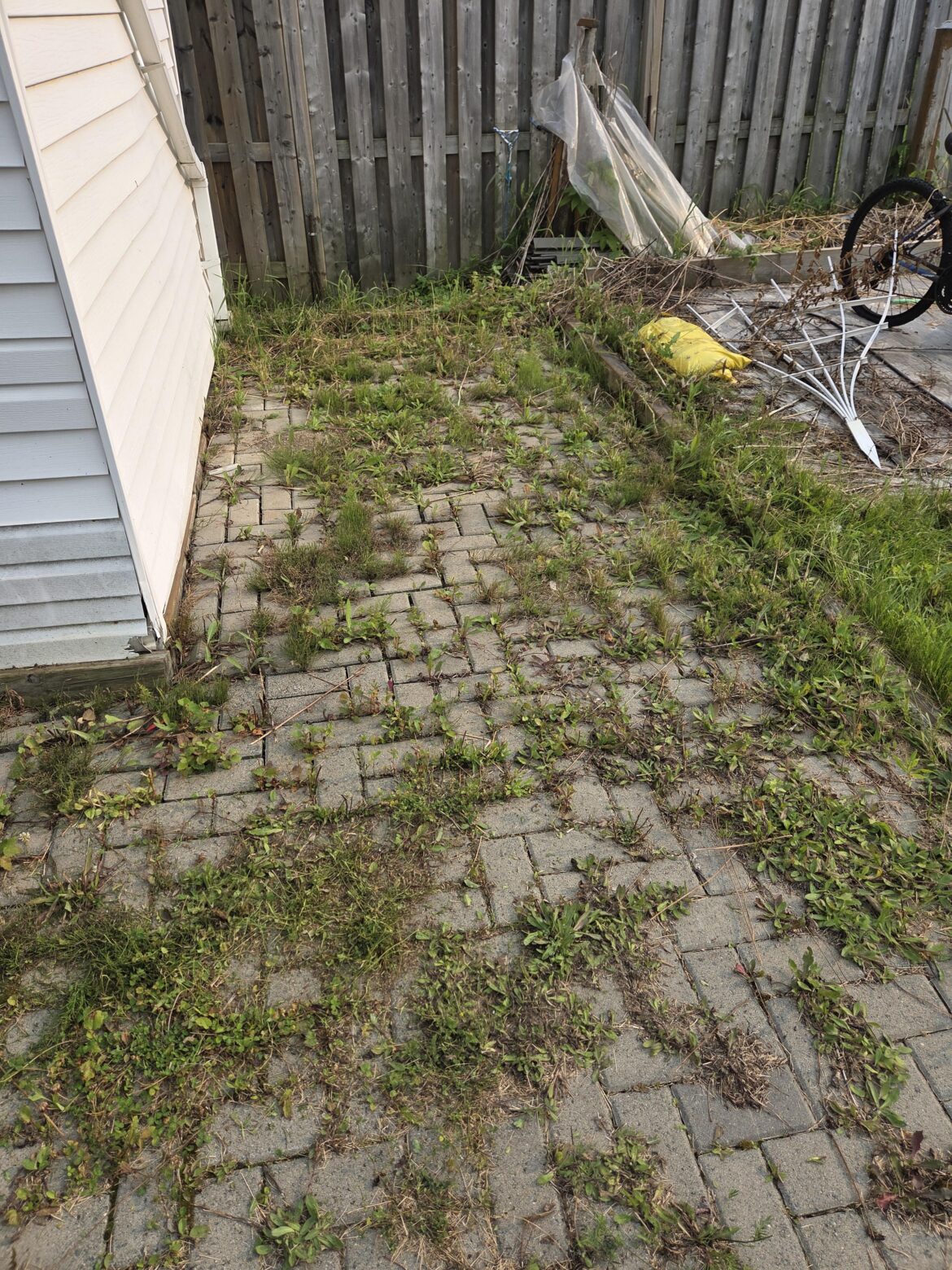 How do I remove weeds from in-between bricks in Northern Ontario? How do I remove weeds from in-between bricks in Northern Ontario?