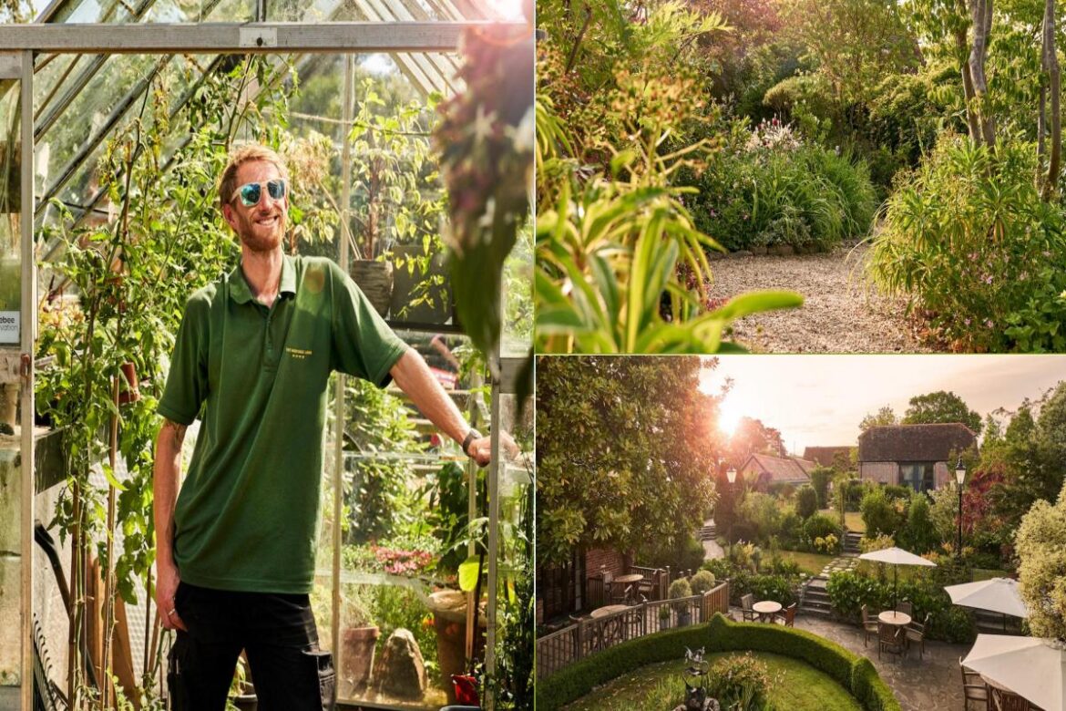 Celebrated New Forest gardener with some top tips for green fingered wannabes Daily Echo
