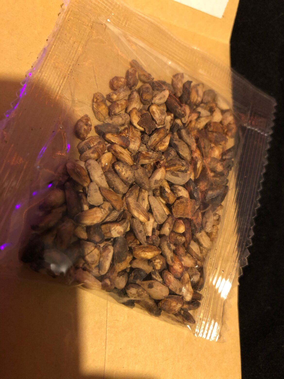 What type of seeds are these?🤓
