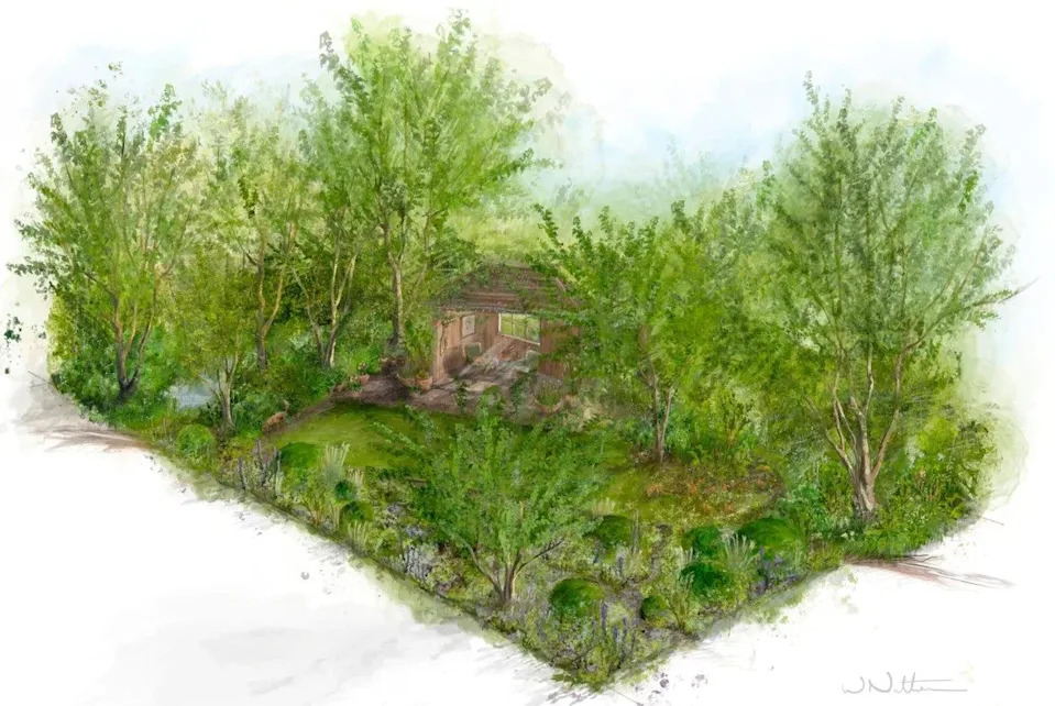 Monty Don's 'Dog Garden' is designed to be perfect for canine 'sprawling, sleeping, rolling, flopping and itching''