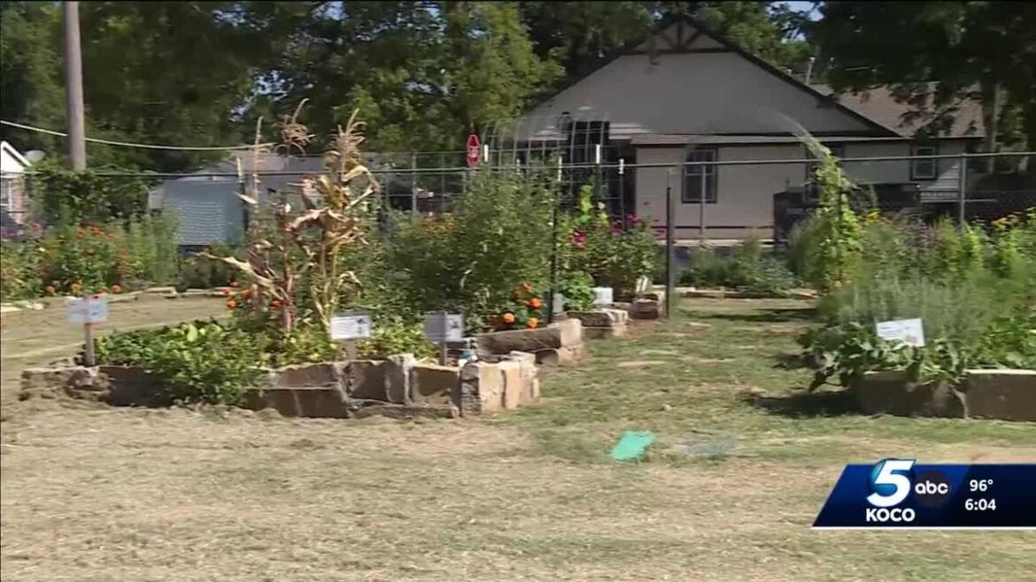 Oklahoma City Public Schools seeks volunteers for garden programs Oklahoma City Public Schools seeks volunteers for garden programs