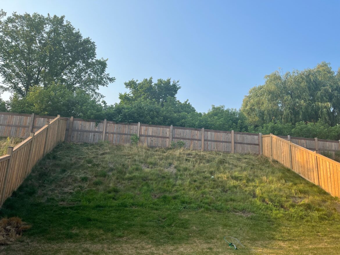 What should I do with this hill in the backyard ??????