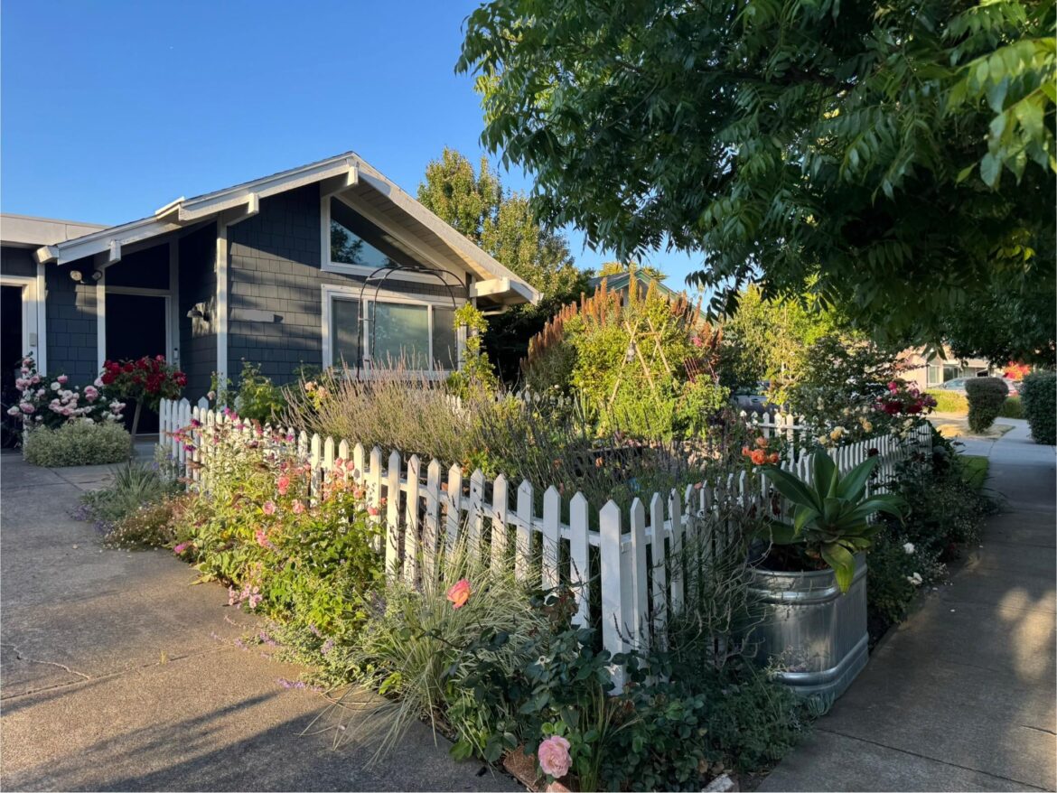 Converted the front lawn to a vegetable garden