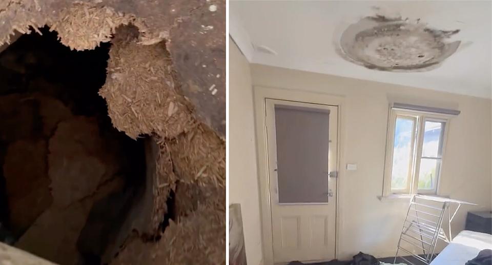 Large holes in the floor (left) and black mould on the ceiling (right). 