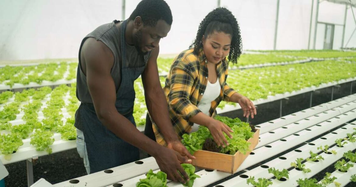 What Is Hydroponic Gardening? You Can Now Get a Rich Harvest of Veggies and Herbs Without Soil What Is Hydroponic Gardening? You Can Now Get a Rich Harvest of Veggies and Herbs Without Soil