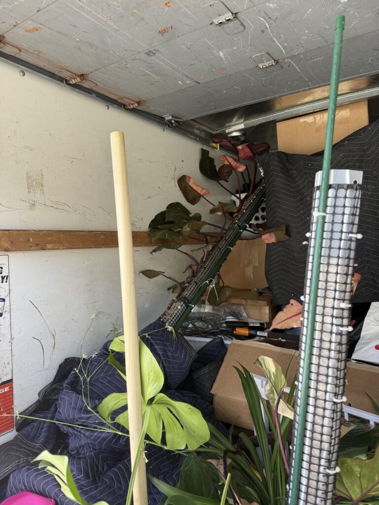 I see why so many people sell their plants before moving. I see why so many people sell their plants before moving.