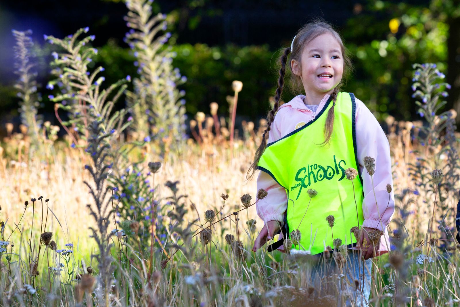 Edinburgh’s royal community garden celebrates five years and hundreds of educational visits