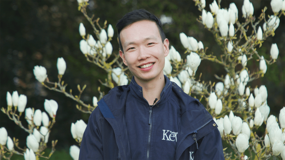 Portrait of a smiling man in a dark blue jacket, standing in front of a magnolia tree.