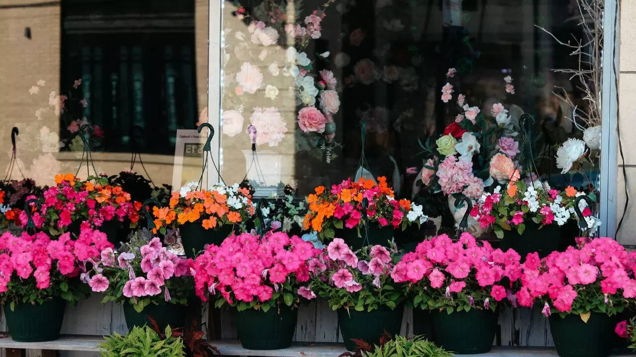 Choose rain‑friendly plants