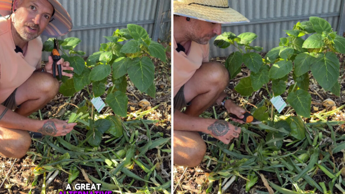 The comments were filled with viewers who vouched for how much the method works.