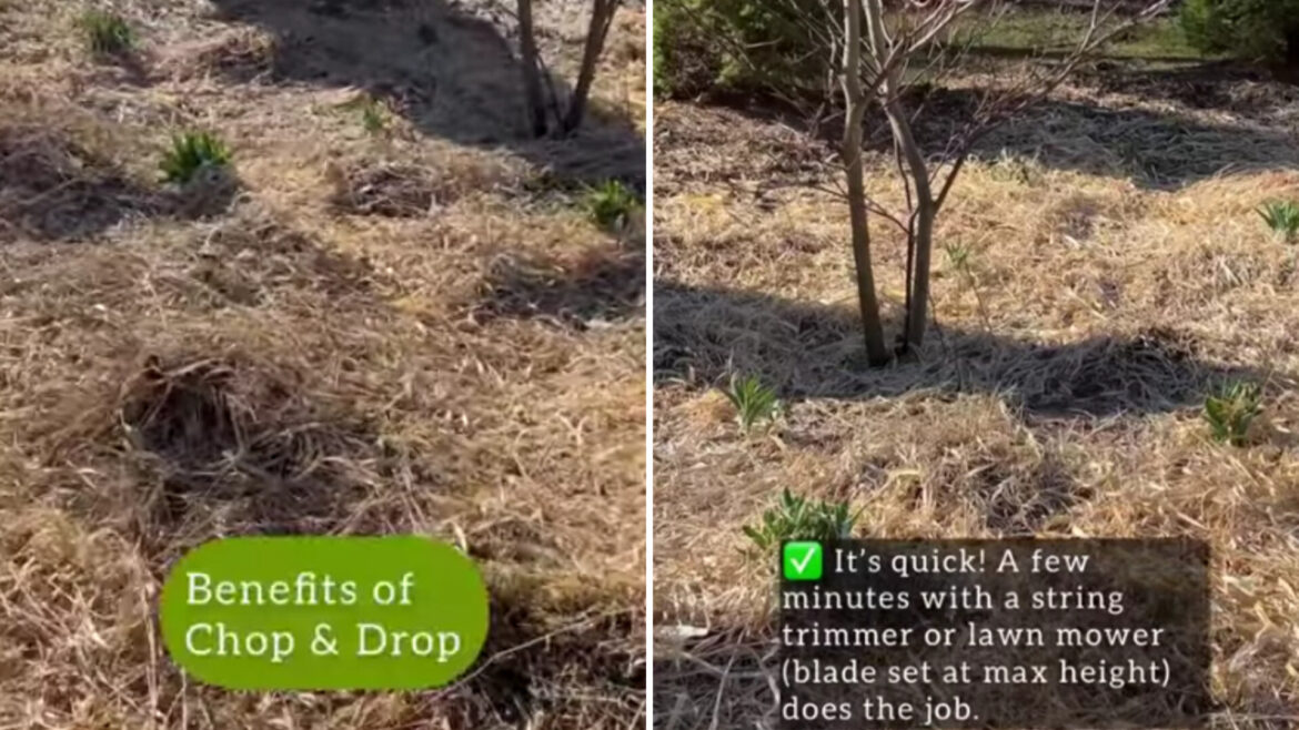 "I do the same thing."