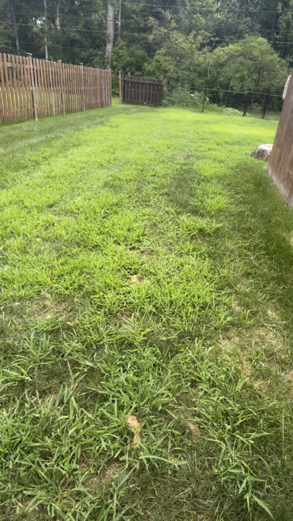 Should I nuke it and start over? Indianapolis