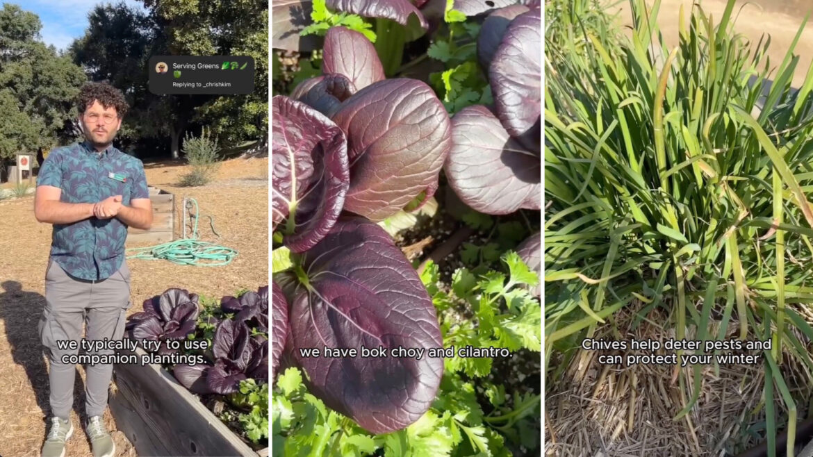 ‘I do the same thing’ 'I do the same thing'