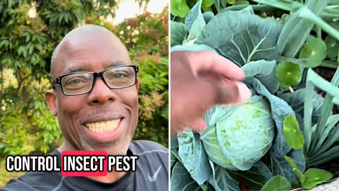 "I’m changing plans now!"