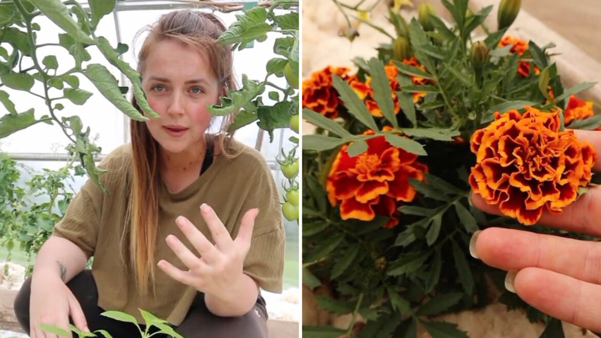 ‘It can improve yields and enhance the flavor’ "I love this."