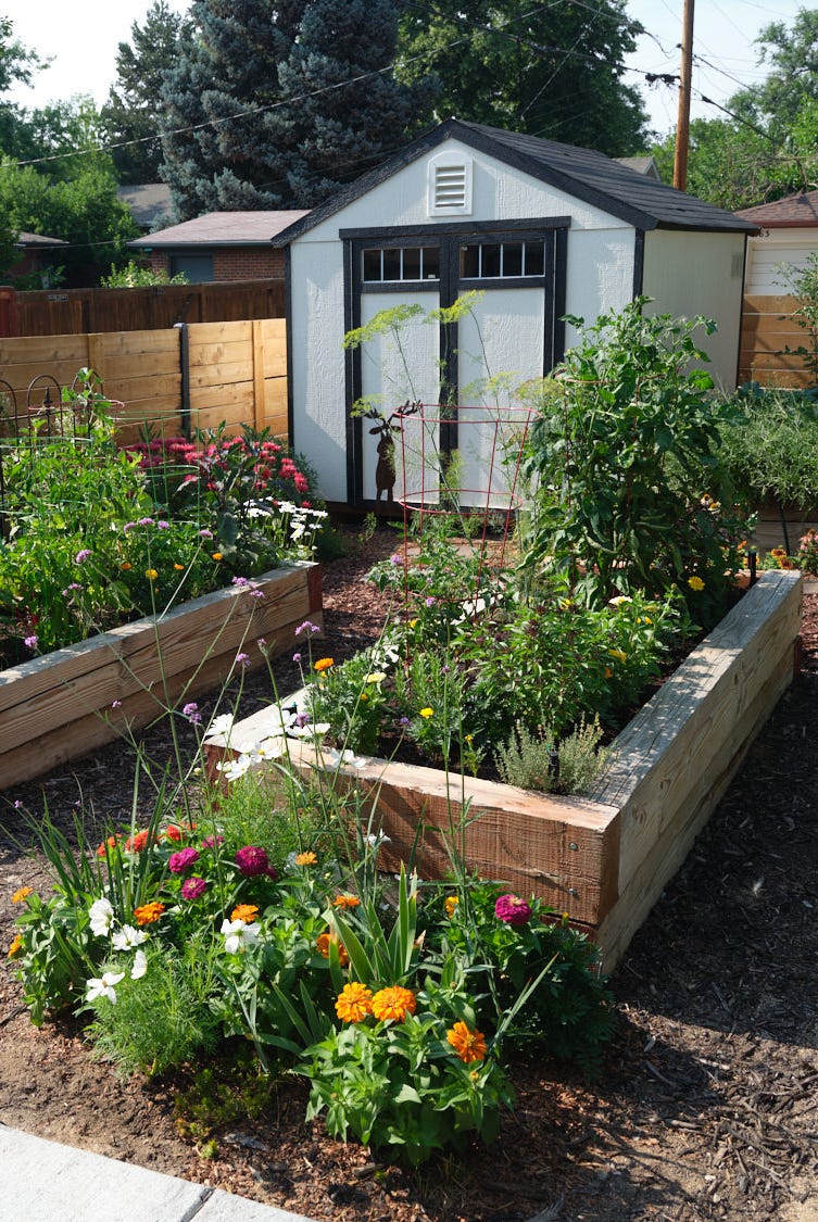raised garden bed