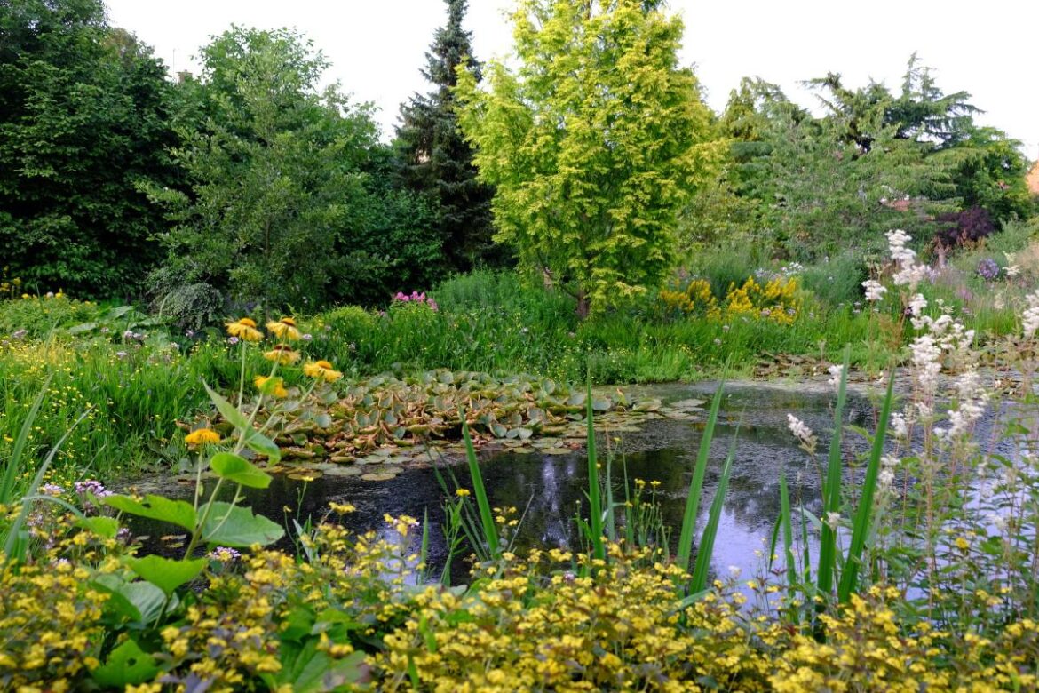 All the secret gardens in Norfolk opening to the public in July Eastern Daily Press