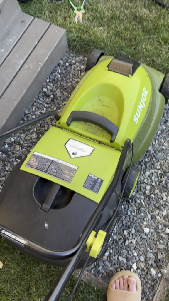 New grass, all dead after mowing