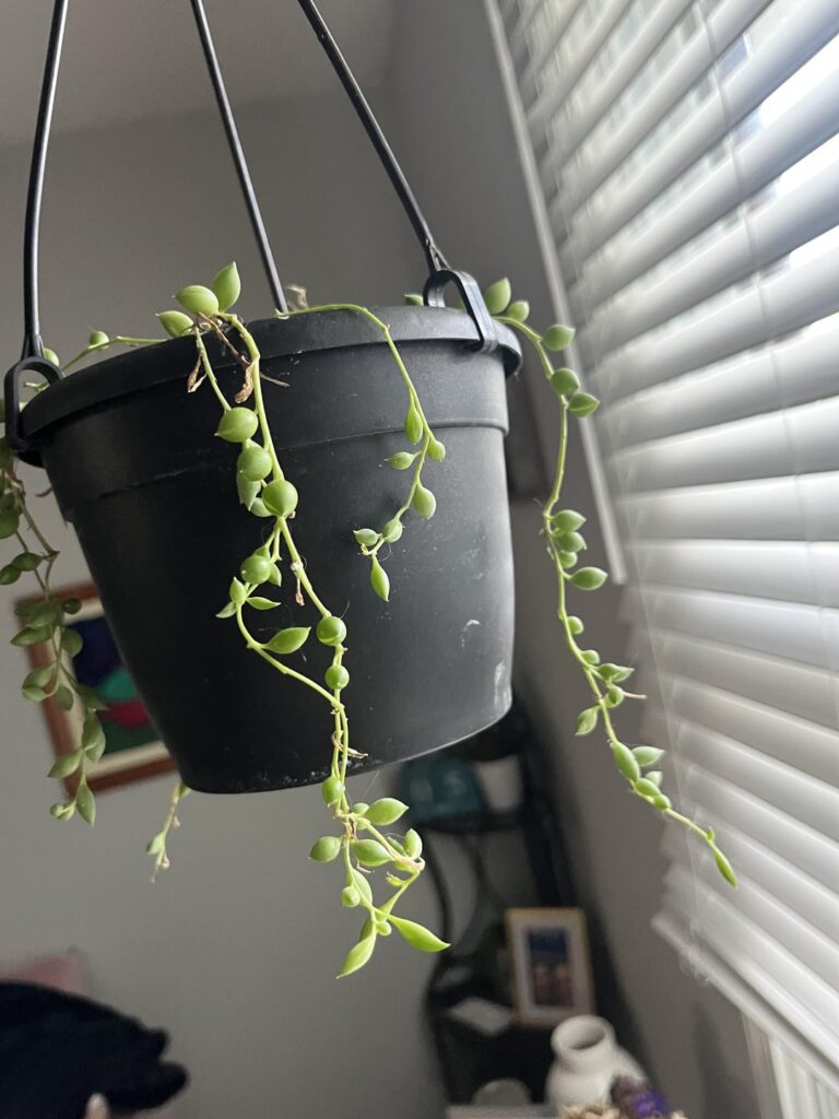 Help! Can I save her?