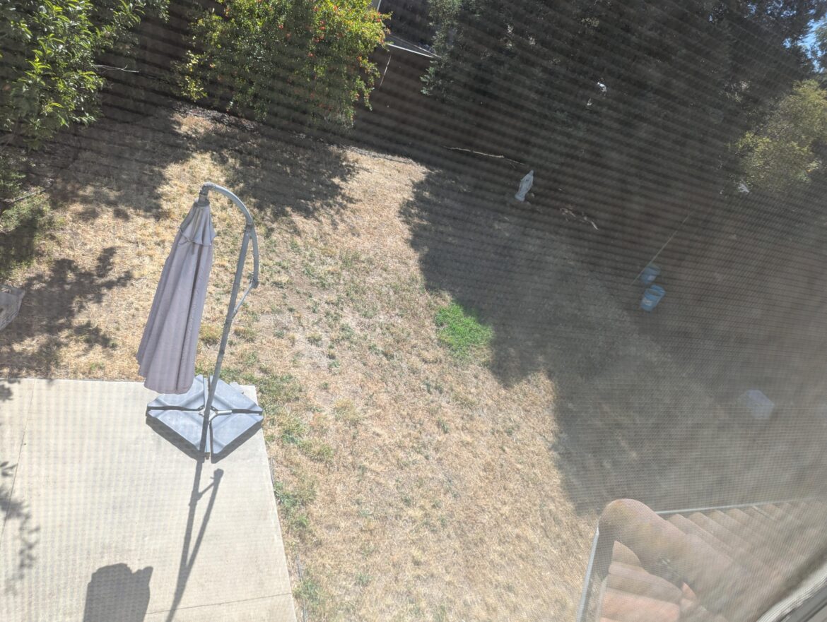 East Bay, zone 9b, 10hrs+ full sun