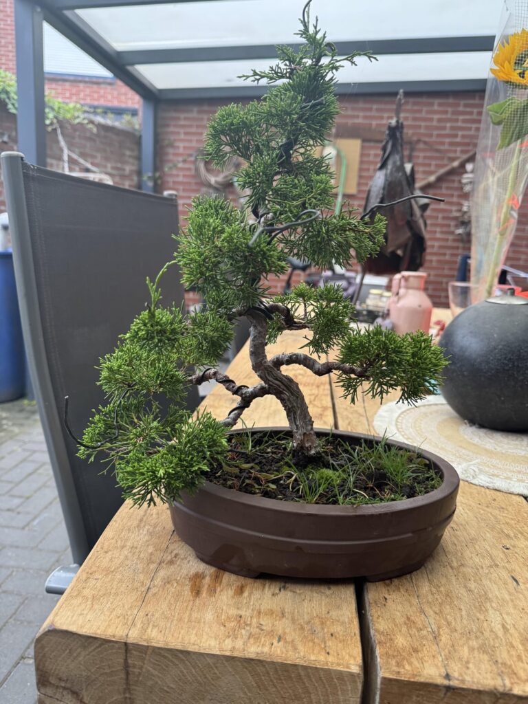 Anyone  got some styling advice ?