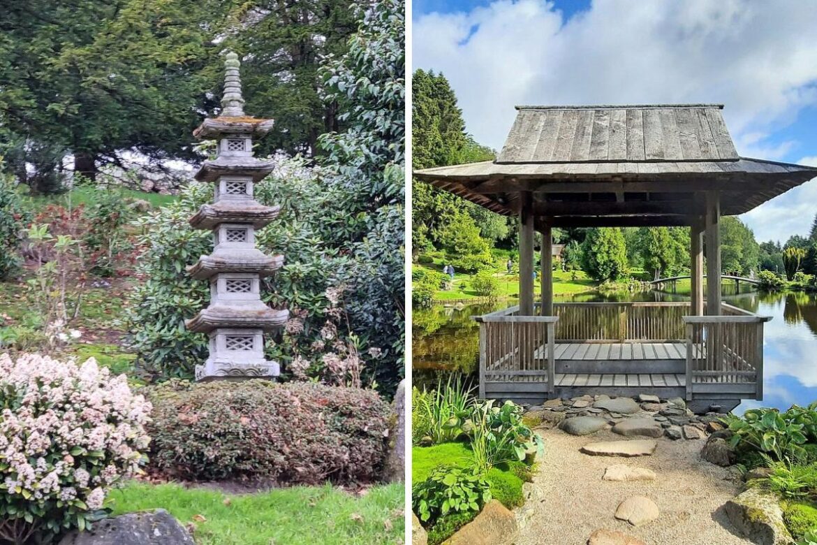 Why this ‘trailblazing’ and ‘most unusual’ Japanese garden is Scotland’s best The National