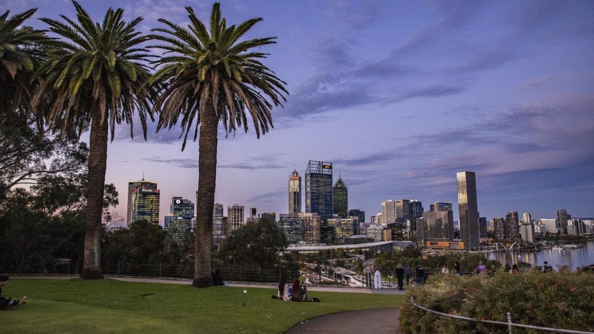 Fund launched to help residents replace trees lost to shot-hole borer Fund launched to help residents replace trees lost to shot-hole borer