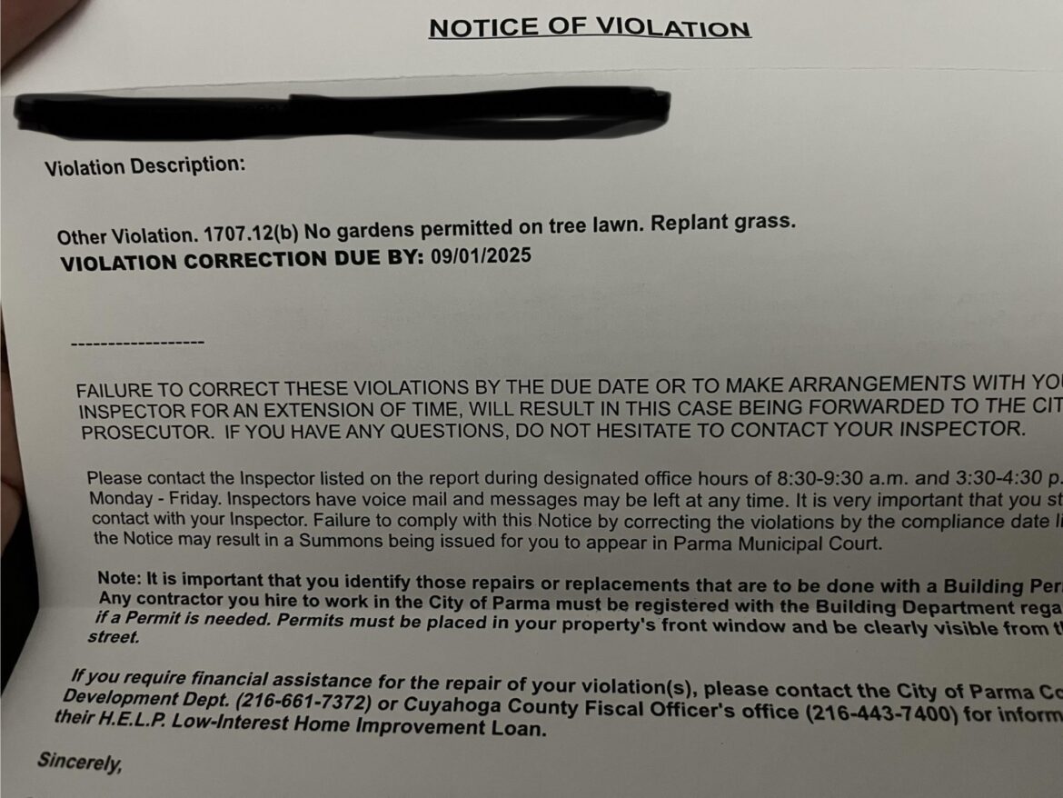 My neighbor reported me and I have this violation notice My neighbor reported me and I have this violation notice