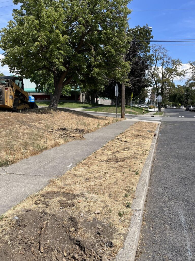 Looking for ideas on landscaping a sloped front yard