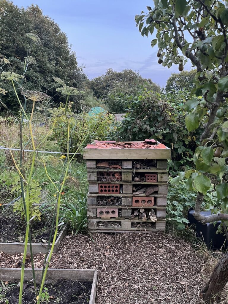 Humongous bug hotel I made a few years ago Humongous bug hotel I made a few years ago