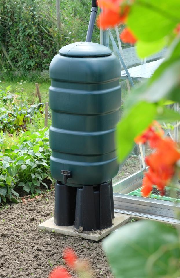 Green plastic rain barrel in a garden.
