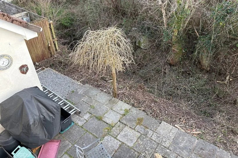The image from Jim shows an unruly area of his garden beside a fence. You would never know a brook was underneath