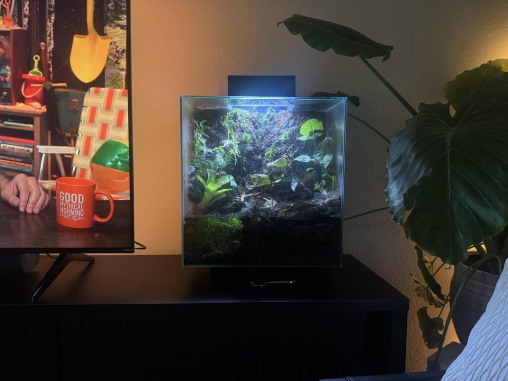 How did I do? Who should call this little world home?