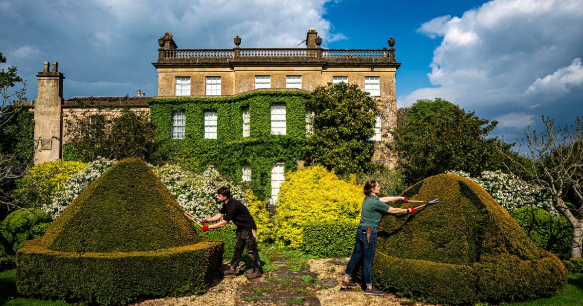 King Charles’s Gardeners Think He’s a Bad Boss King Charles’s Gardeners Think He’s a Bad Boss