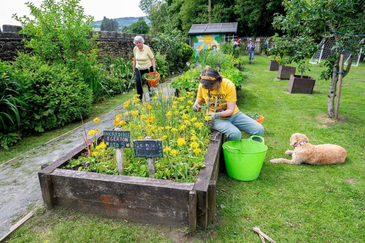 Egerton Community Garden in the running for £30k national award The Bolton News