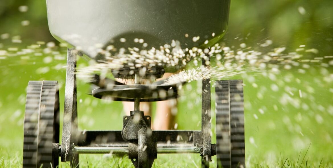 How to Fertilize Your Lawn Correctly, According to a Turf Expert