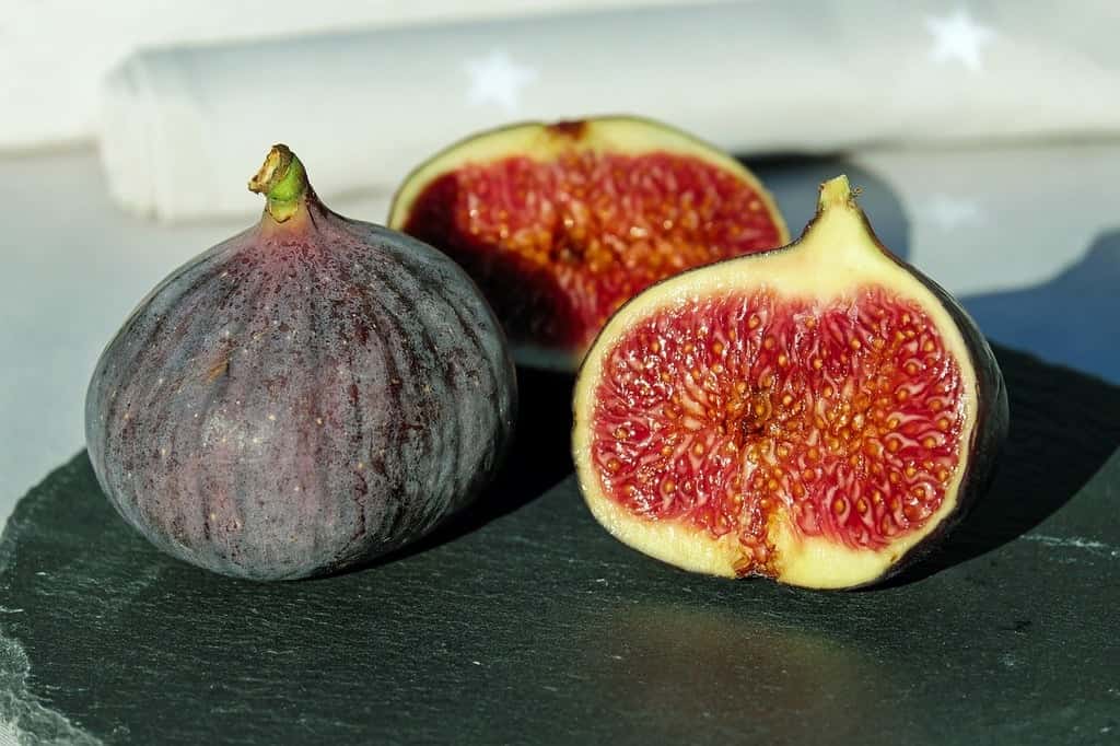 Fig fruit