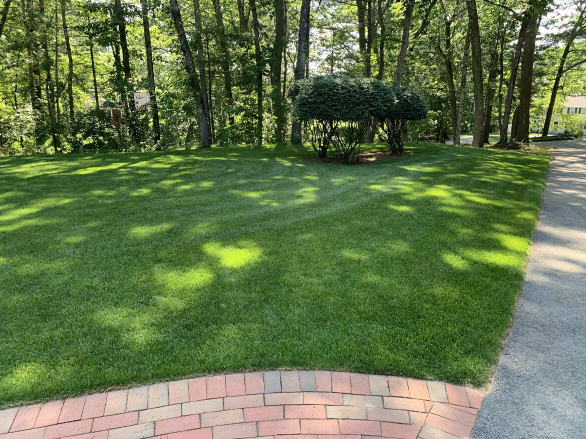 Anyone else overcompensating?