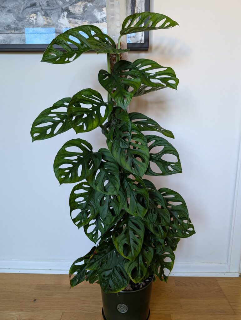 My most impressive before/after My most impressive before/after