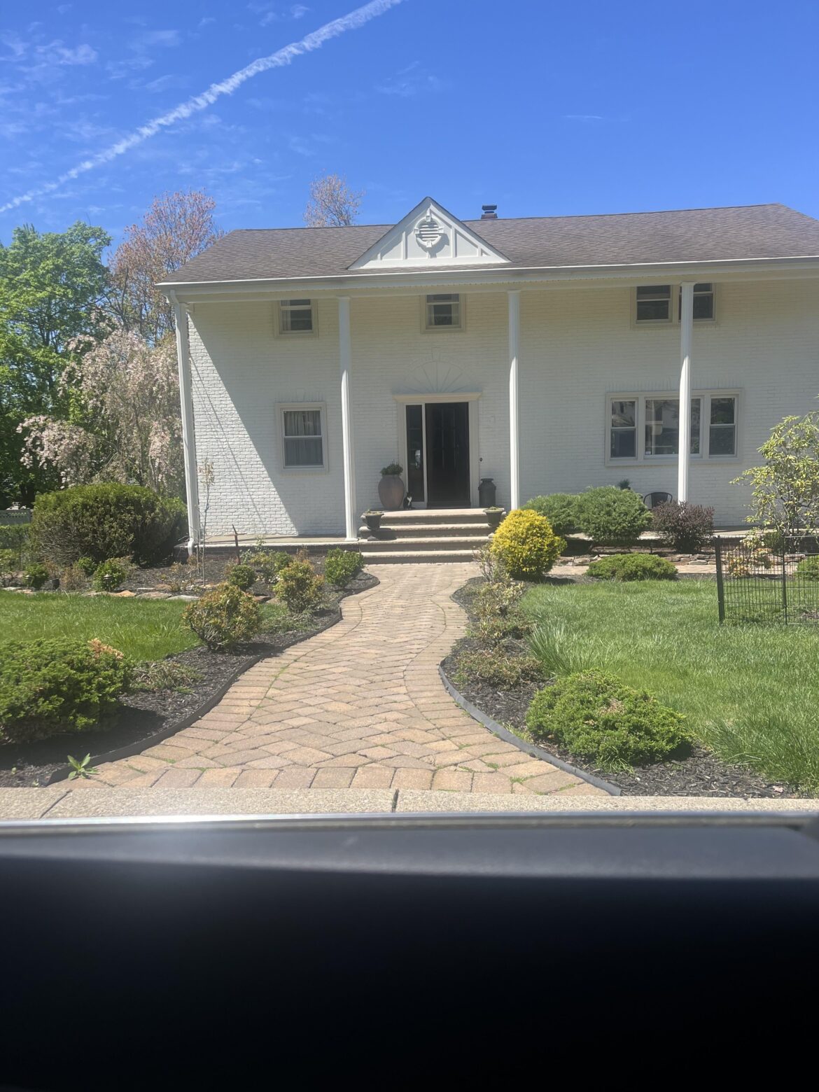 Help to make this a #no lawn
