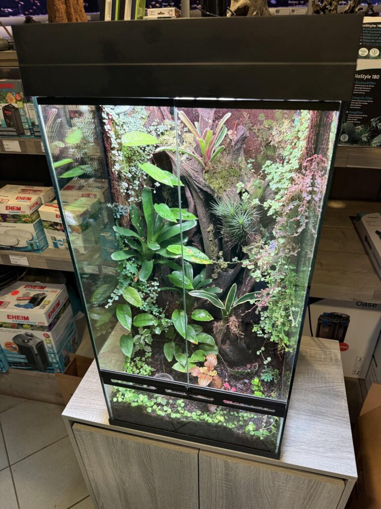 My new terrarium