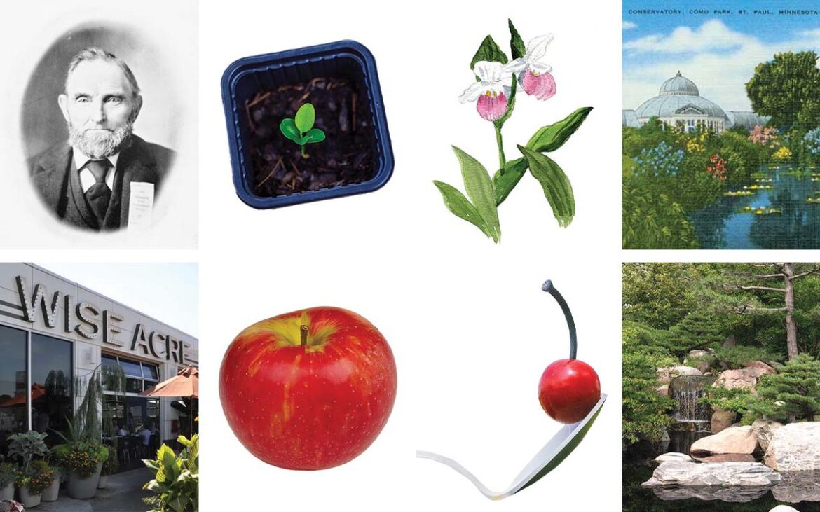 A Brief History of Gardens in Minnesota