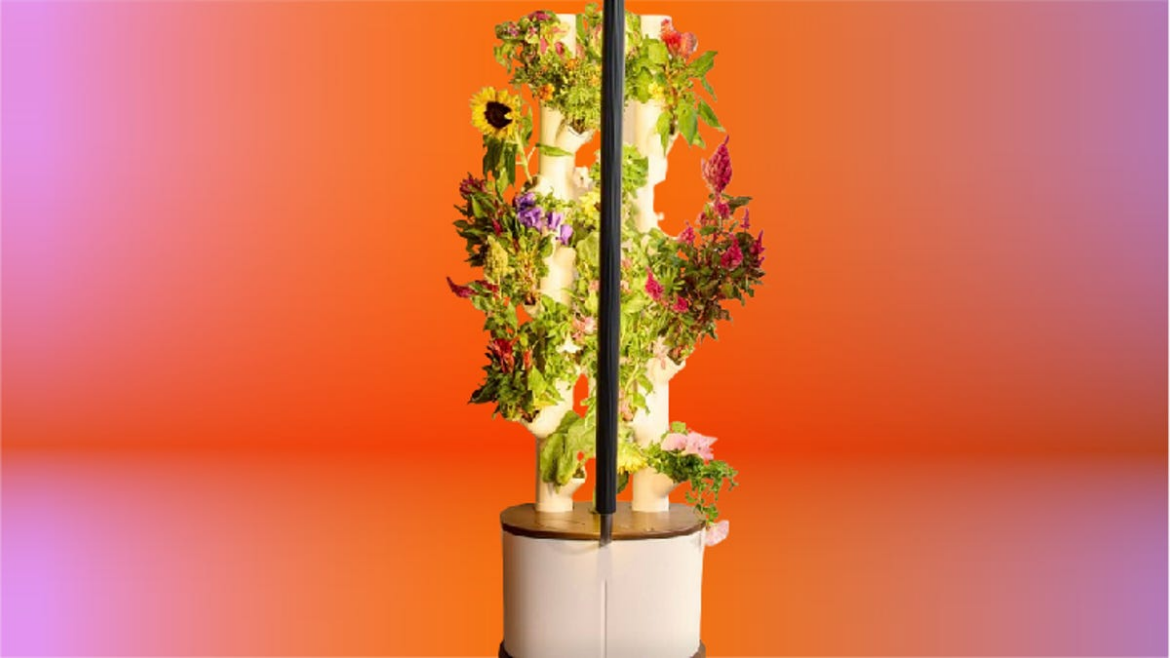 I Stopped Buying Sad Grocery Store Lettuce Thanks to This Smart Indoor Garden, and It's $100 Off for Prime Day
