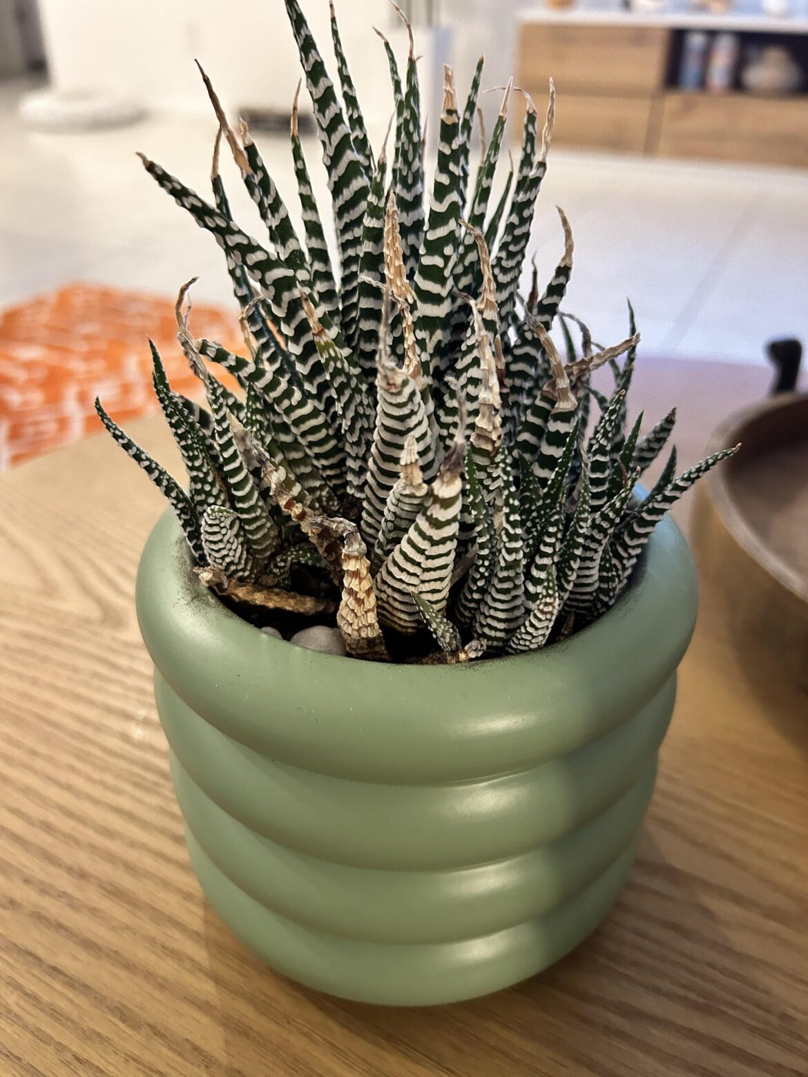 Browning Tips Browning Tips